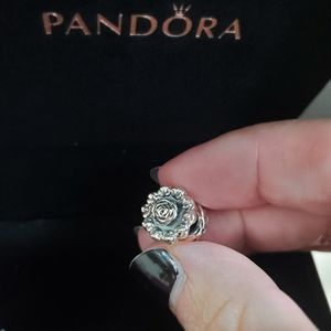 Pandora Charms